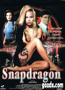 《终极女蝎星》：致命女杀手的复仇之路