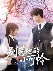 温馨搞笑动画《别惹他的小可怜》：情感与冒险的奇妙旅程