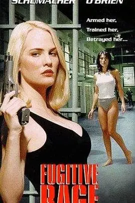 《执法精英》：硬汉警探的绝地反击，一场正义与邪恶的殊死搏斗